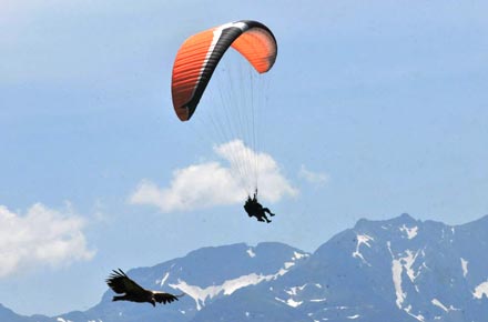 panoramas splendides en vol biplace parapente